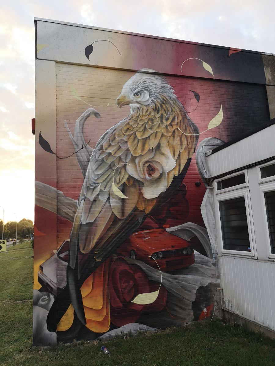 Red Kite painting